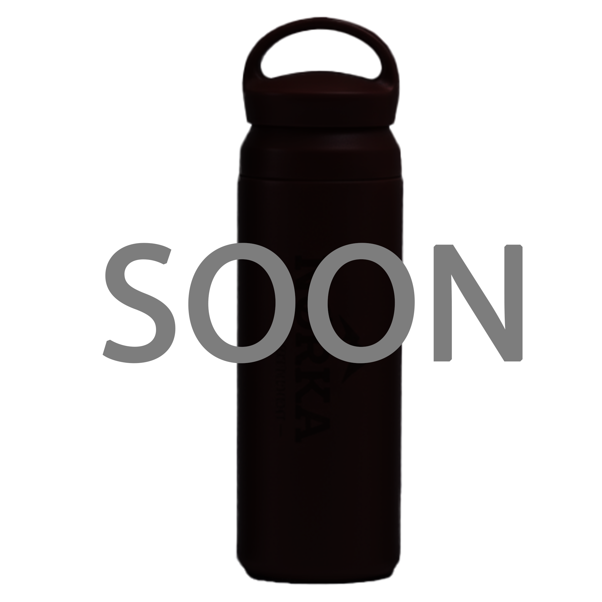 Botella Térmica NORKA 500 ml – Tapa Portátil